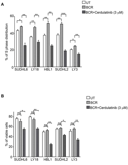 Cerdulatinib induces cell cycle arrest and apoptosis under the condition of BCR stimulation in all DLBCL cell lines.