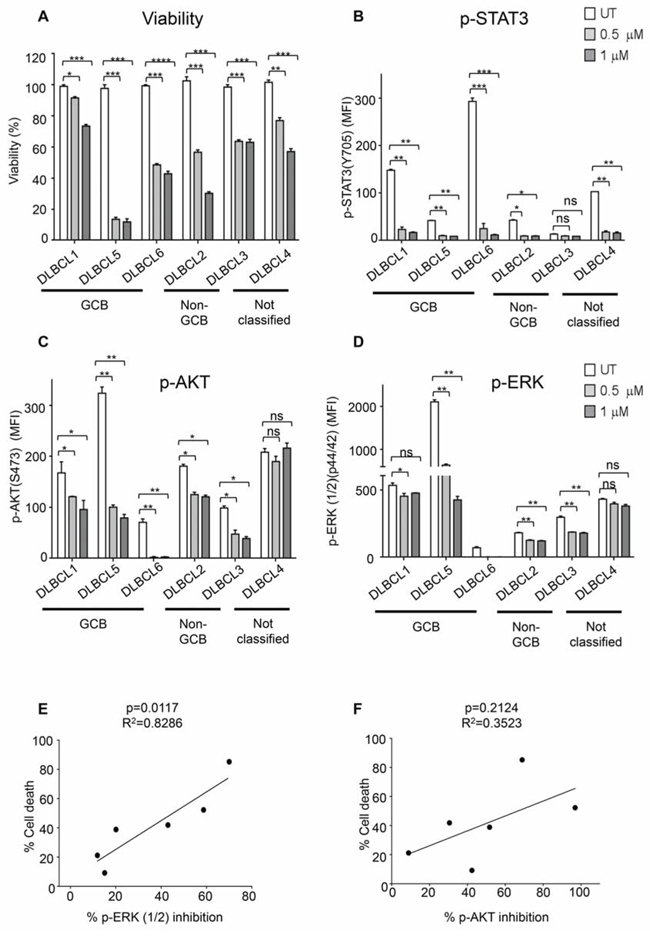 Primary DLBCL cells are sensitive to dual SYK/JAK inhibition.