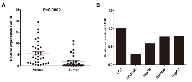 Real-time quantitative PCR evaluation of