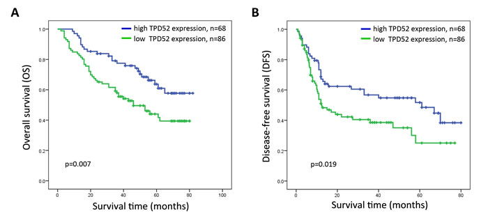 Kaplan-Meier survival curves of patients with primary HCC after surgical resection according to the expression of TPD52.