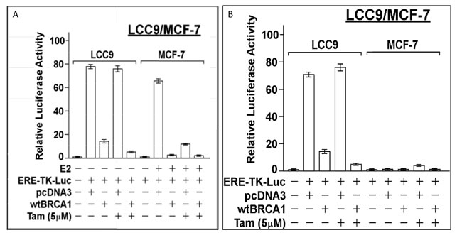 Inhibition of ER activity in LCC9 and MCF-7 cells by BRCA1.