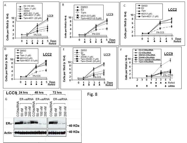 Compounds 4631-P/1 and 35466-L/1 inhibit proliferation of anti-estrogen resistant human breast cancer cells and partially restore their sensitivity to Tamoxifen.