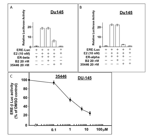 Compound 35446 inhibits the activity of ER-β.