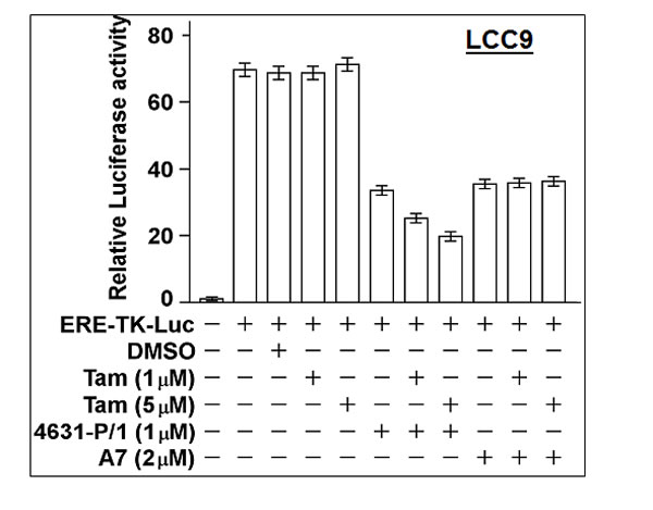 Compound 4631-P/1 partially restores the sensitivity of ER in LCC9 cells to Tamoxifen.