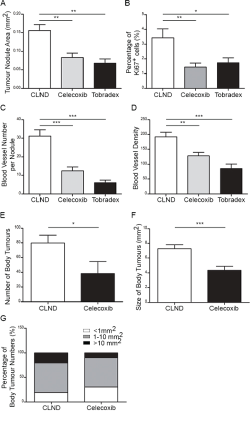 Topical Tobradex and oral Celecoxib attenuate CLND-induced blood vessel growth, tumor growth and metastasis. 2&#x2013;3 week-old RET mice that underwent CLND were treated or not with daily topical application of Tobradex or fed a diet containing Celecoxib for 4 or 21 weeks.