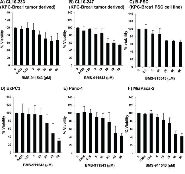 In vitro effects of BMS-911543 on murine and human PDAC and stellate cell lines.
