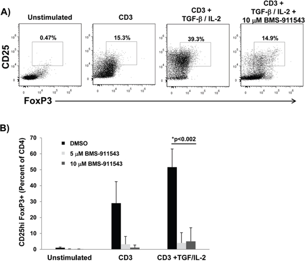 BMS-911543 inhibits T regulatory cell differentiation in vitro.