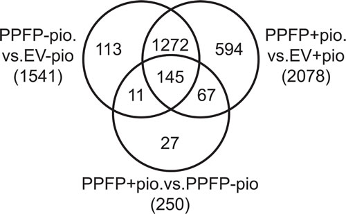 Venn diagram illustrating the overlap of genes regulated by PPFP in comparisons of PPFP and EV cells cultured with and without pioglitazone.