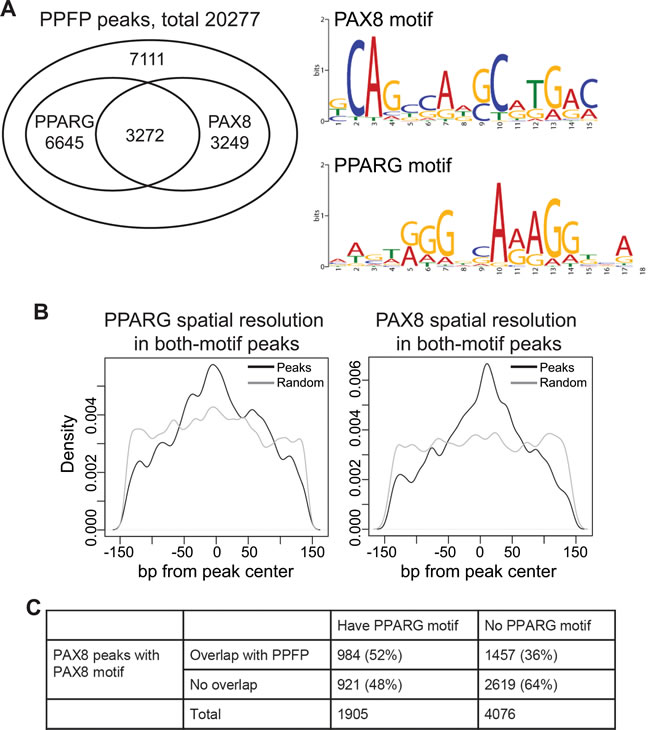 PPFP peaks contain PAX8 and/or PPARG motifs.