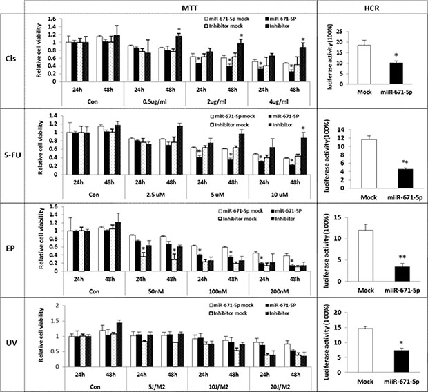 Effect of miR-671-5p on sensitivity of breast cancer cell lines to UVC/ Chemosensitivity.