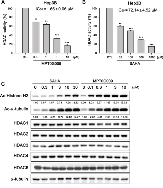 MPT0G009 inhibited HDAC activities in human Hep3B cells.