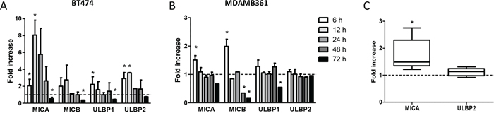 Modulation of NKG2D ligands on breast carcinoma cells in response to docetaxel treatment.