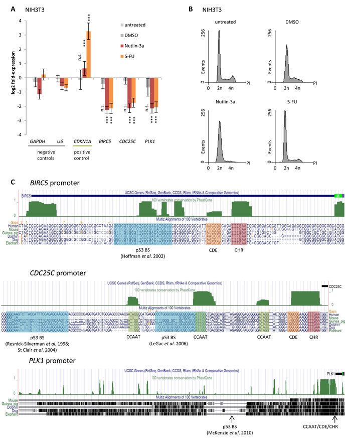 Downregulation of