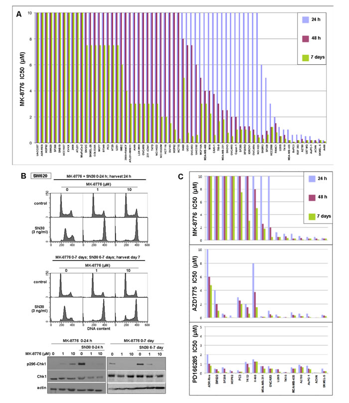 Sensitivity of cell lines to Chk1 and Wee1 inhibitors.