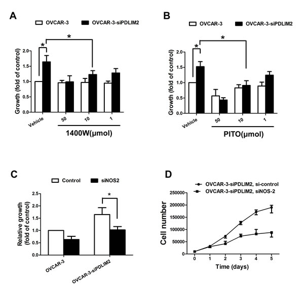 Impaired growth of PDLIM2-repressed ovarian cancer cells under NOS2/NO inhibition