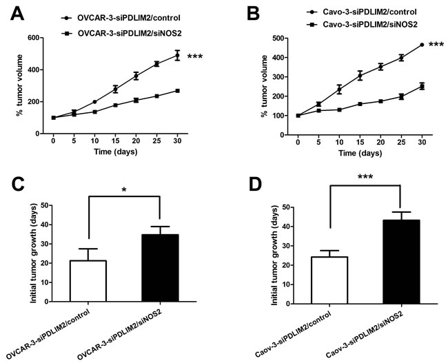 NOS2 inhibition reduces PDLIM2-repressed ovarian cancer growth