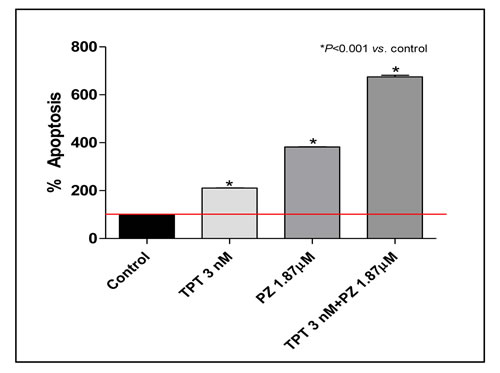 Proapoptotic effects of topotecan (TPT) and pazopanib (PZ) on proliferating 231/LM2-4 cells treated for 144h in hypoxic conditions.