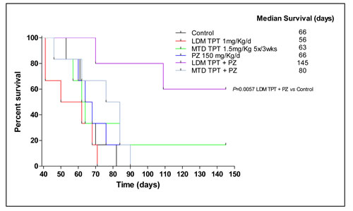 Effect on survival caused by low-dose metronomic (LDM) oral topotecan (TPT) alone or in combination with pazopanib (PZ).