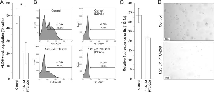 PTC-209 reduces functional stem cell characteristics.