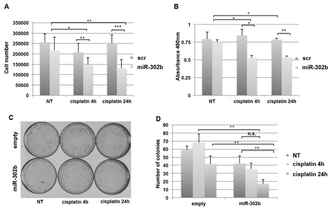 miR-302b enhances cisplatin sensitivity in breast cancer cell lines.