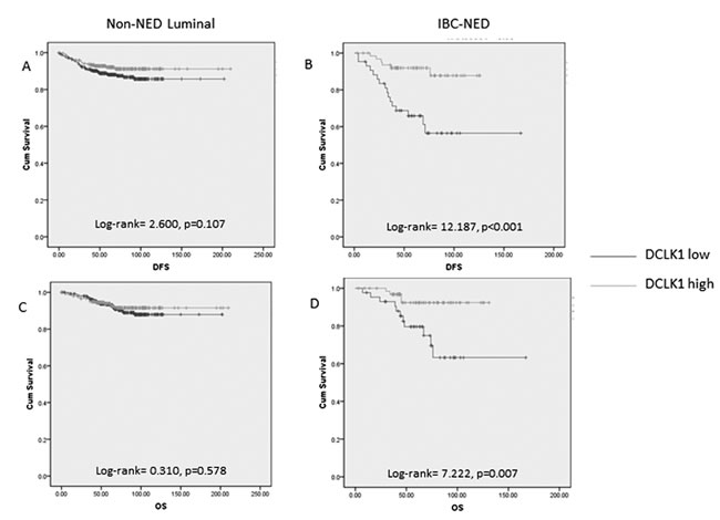 Kaplan-meier analysis of DFS and OS on non-NED luminal and IBC-NED cancers according to DCKL1 expression.