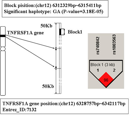 The haplotype analysis result of TNFRSF1A gene.