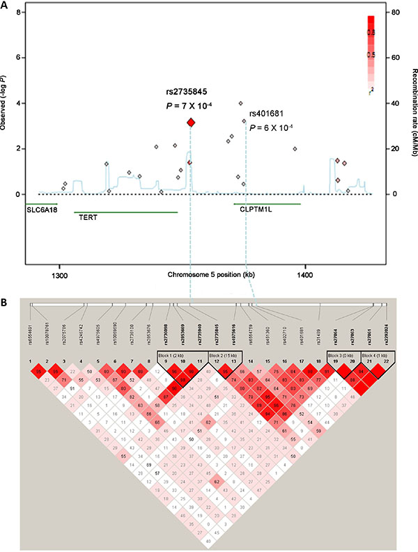 Regional plots for associations at the TERT-CLPTM1L locus on chromosome 5p15.33.