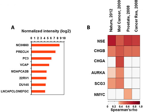 Association analysis of FYN expression with NE phenotype.