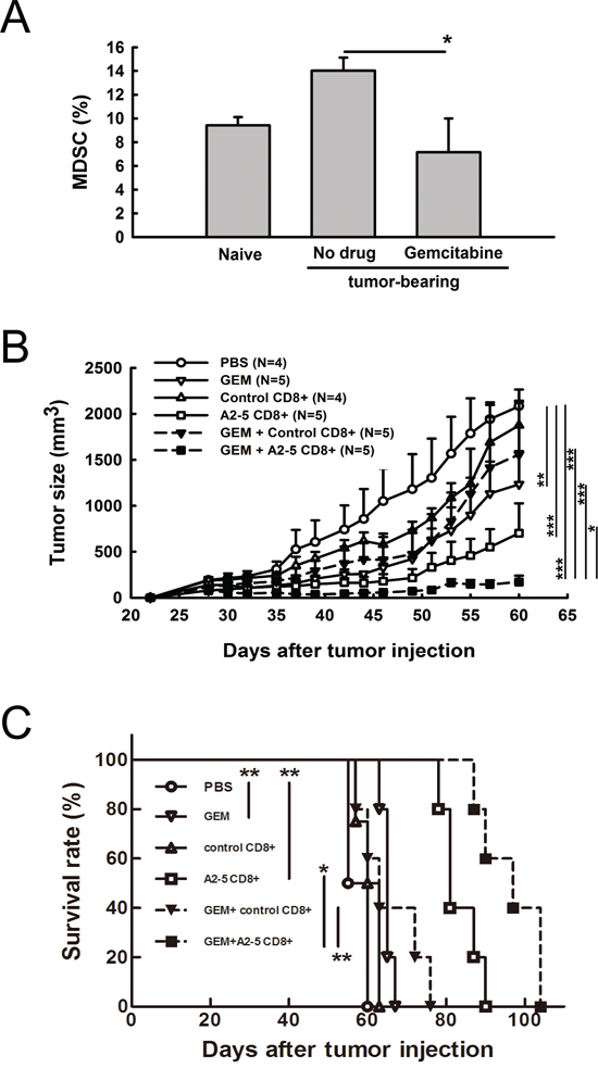 Combination of gemcitabine and peptide A2-5 induced CD8&#x002B; T cells provides anti-tumor activity and prolongs animal survival time in a human lung tumor xenograft model.