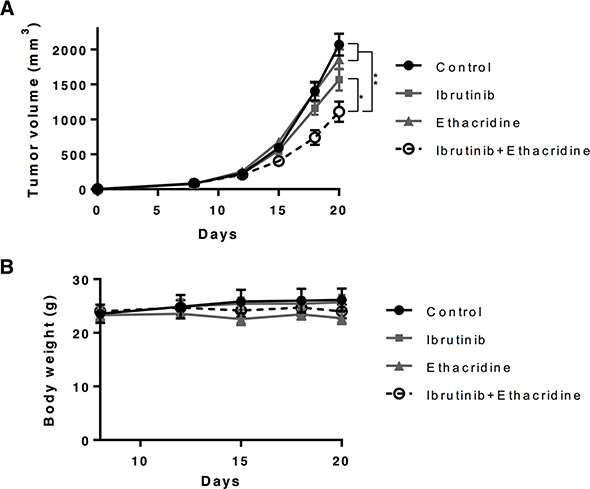 Ibrutinib-ethacridine combination displays anti-AML activity in mice.