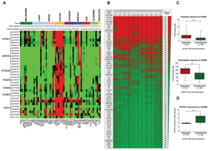 Determination of cisplatin and carboplatin sensitivity in the NCI60 panel of human cancer cell lines with respect to promoter CpG island methylation, analyzed by the 450K DNA methylation microarray.