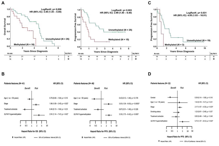 SLFN11 CpG island hypermethylation is an independent factor that is prognostic of poor clinical outcome in ovarian and non-small cell lung cancer patients treated with platinum-derived drugs.