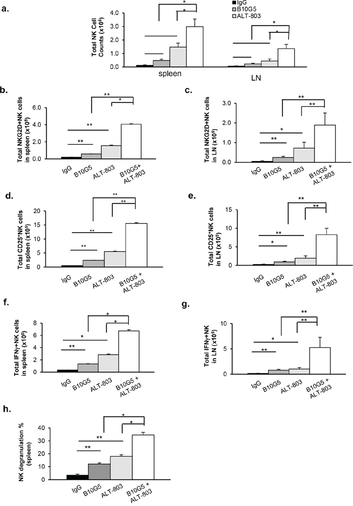 ALT-803 and sMIC-neutralizing antibody combined therapy markedly enhances NK cell homeostatic maintenance and function in sMIC-B16 tumor bearing mice.