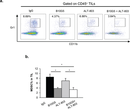 Combination therapy of B10G5 and ALT-803 reduces MDSC population in TILs.