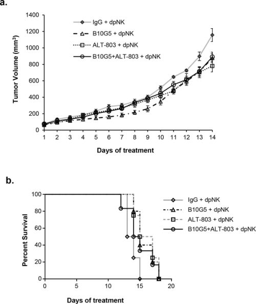 NK depletion impairs the cooperative therapeutic effect of B10G5 and ALT-803.