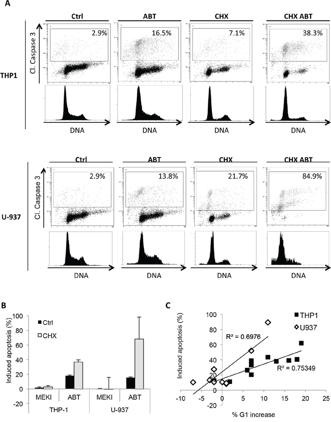 CHX induces a cell cycle block in G1 phase and synergizes with ABT-263 to increase apoptosis.