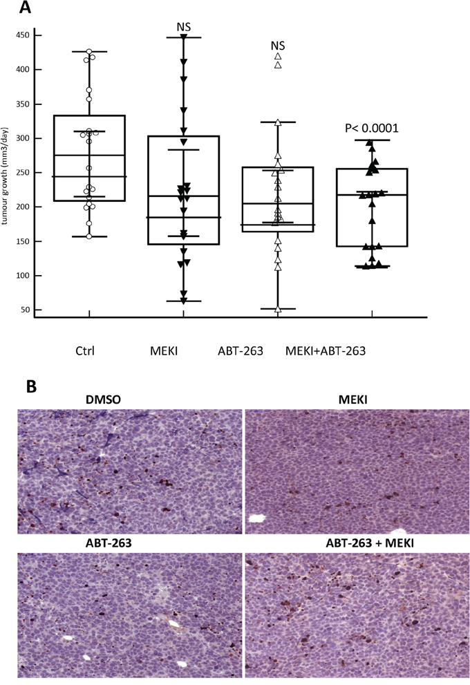 MEKI and ABT-263 synergize to reduce tumor growth in vivo.