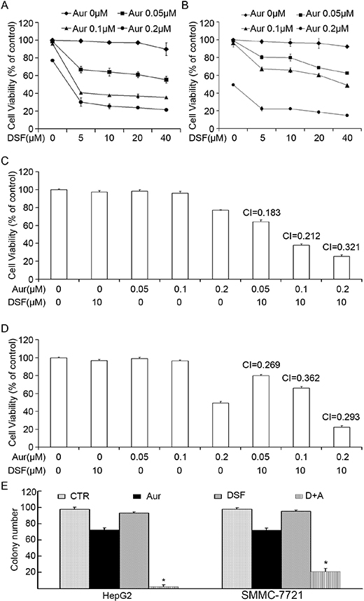 Combination of Aur and DSF synergistically reduced cell viability in vitro.