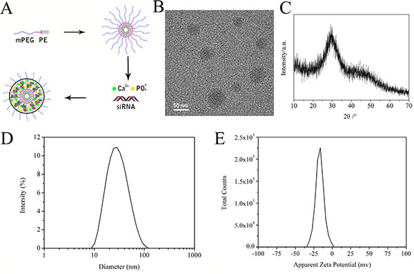 Figure 3: