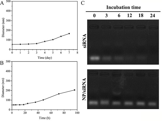 Figure 4: