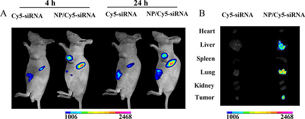 Figure 6: