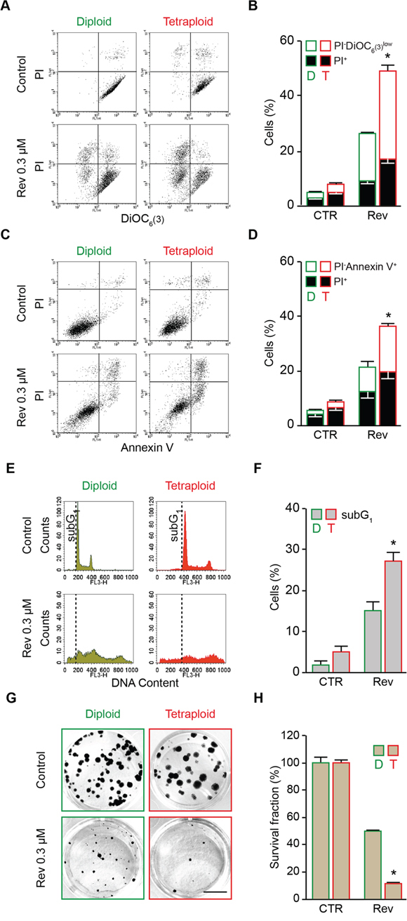 Preferential killing of tetraploid tumor cells by reversine-mediated MPS1 inhibition.