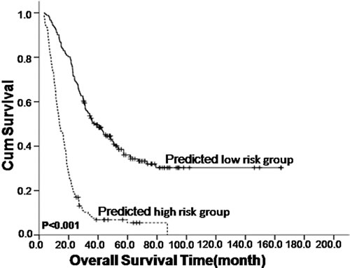 Kaplan&#x2013;Meier survival analysis of the mNPC-SVM classifier in nasopharyngeal carcinoma patients with synchronous metastases (mNPC).