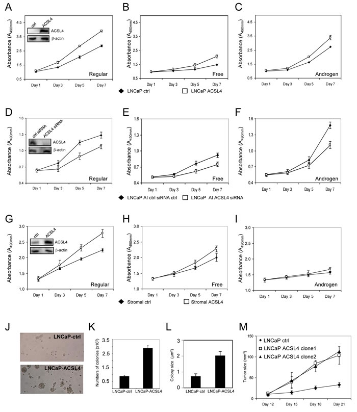 Effects of ACSL4 expression on PCa proliferation in regular, free and androgen medium.