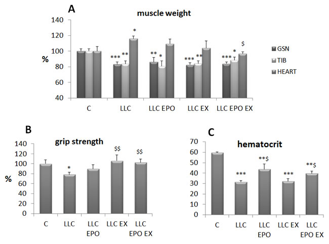 Exercise training and EPO partially prevent cachexia in LLC-bearing mice.