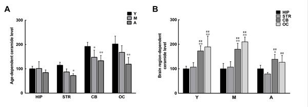 Age- and brain region-dependent differences in ceramide levels.