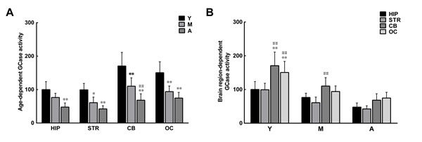 Age- and brain region-dependent differences in glucocerebrosidase (GCase) activity.