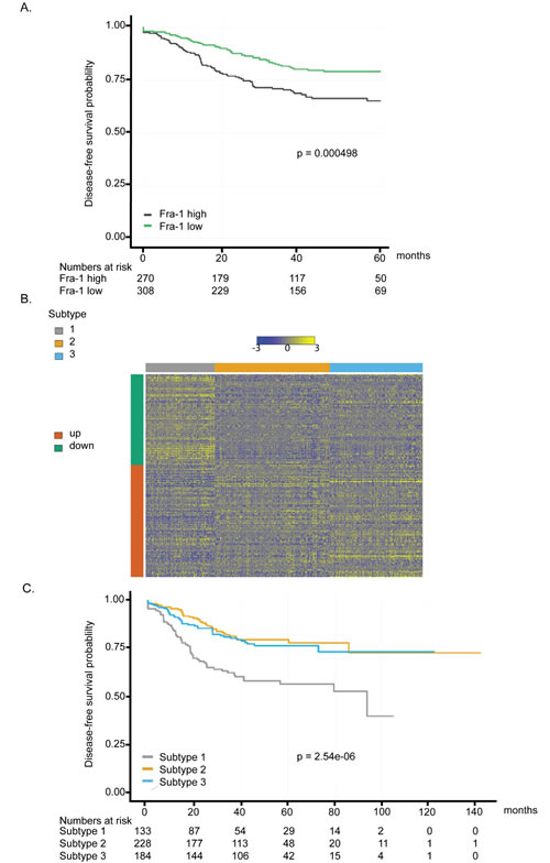 Fra-1-regulated gene signature is a prognostic classifier in colon cancer.