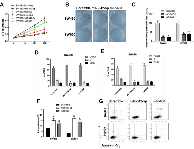 MiR-342-5p and miR-608 suppressed cell proliferation, migration, and colony formation and promoted apoptosis in colon cancer cells.