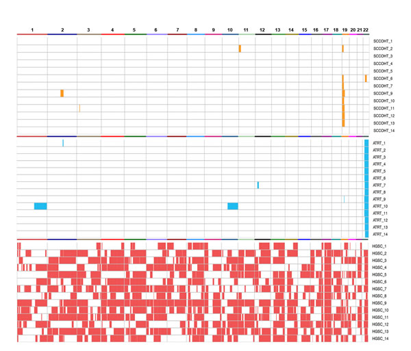 Genome-wide analysis of AI in SCCOHT (orange), ATRT (blue), and HGSC (red).